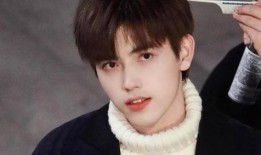 娱乐爆料鹿晗陈飞宇,揭秘明星幕后故事