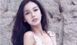 杨紫八卦大爆料最新消息,揭秘娱乐圈背后的惊人真相！